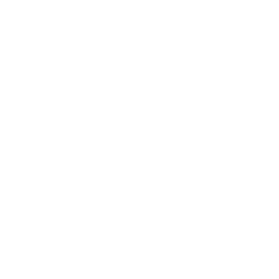 IVECO (1)